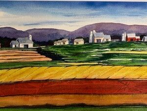 Valley Farms