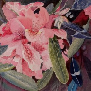 Rhodies