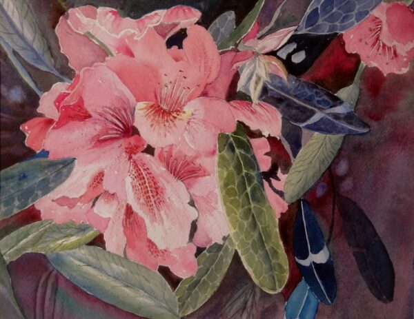 Rhodies